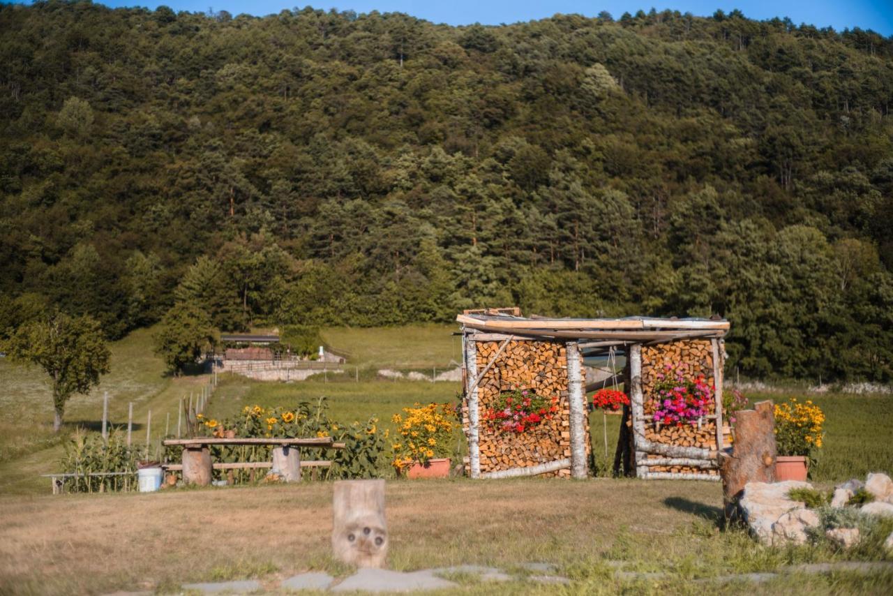 B&B Nonno Carlo Trento Exteriör bild