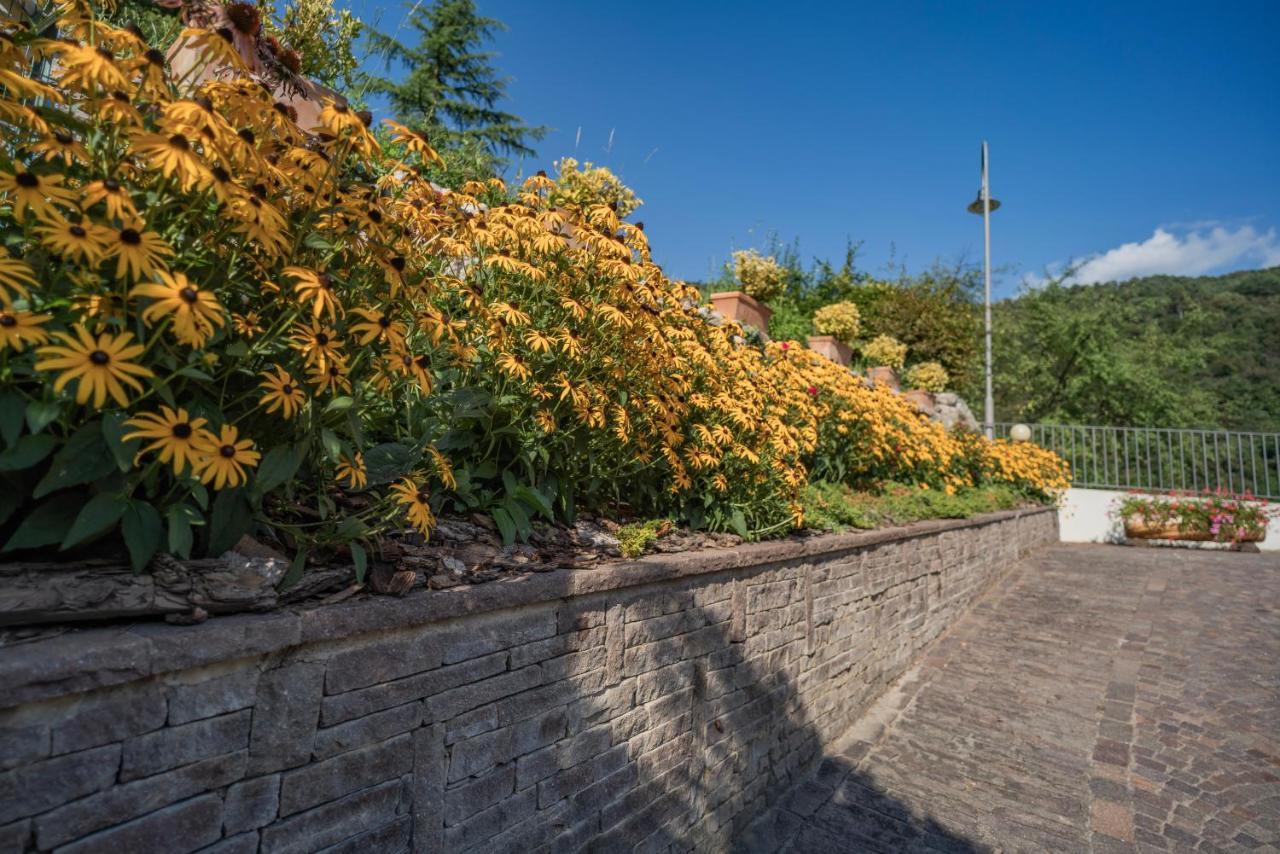 B&B Nonno Carlo Trento Exteriör bild