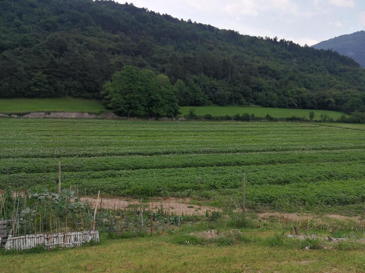 B&B Nonno Carlo Trento Exteriör bild