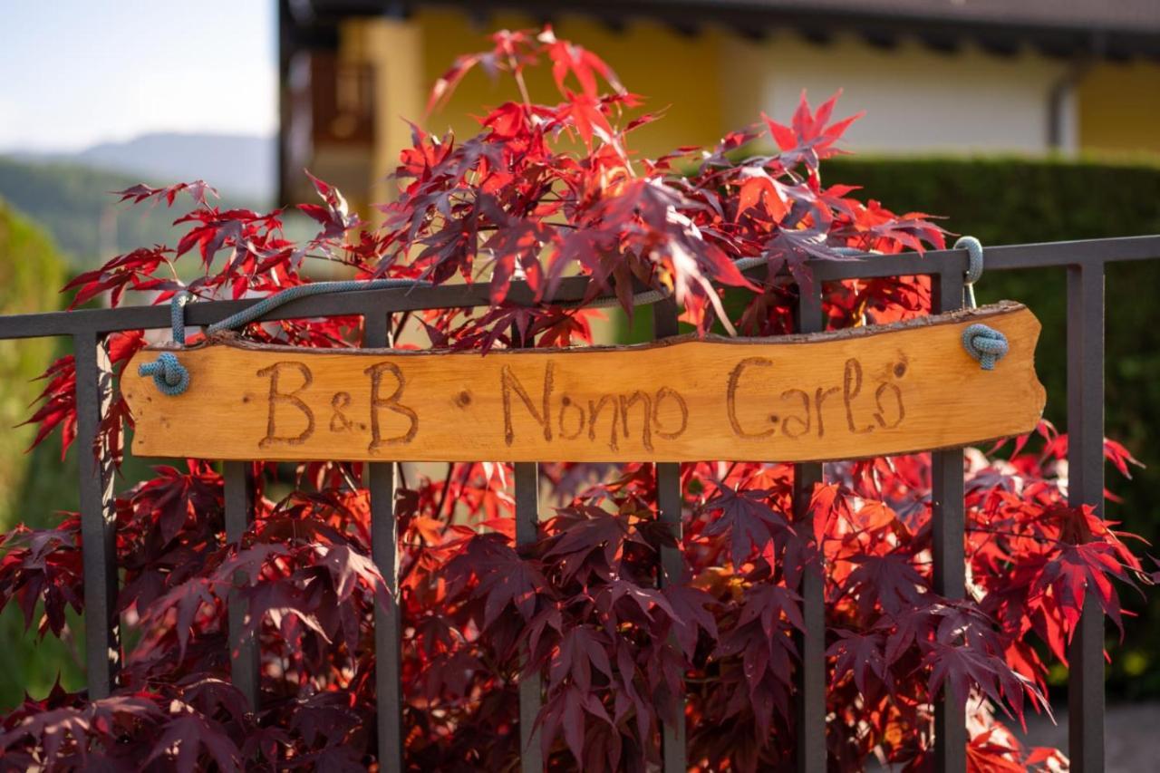 B&B Nonno Carlo Trento Exteriör bild