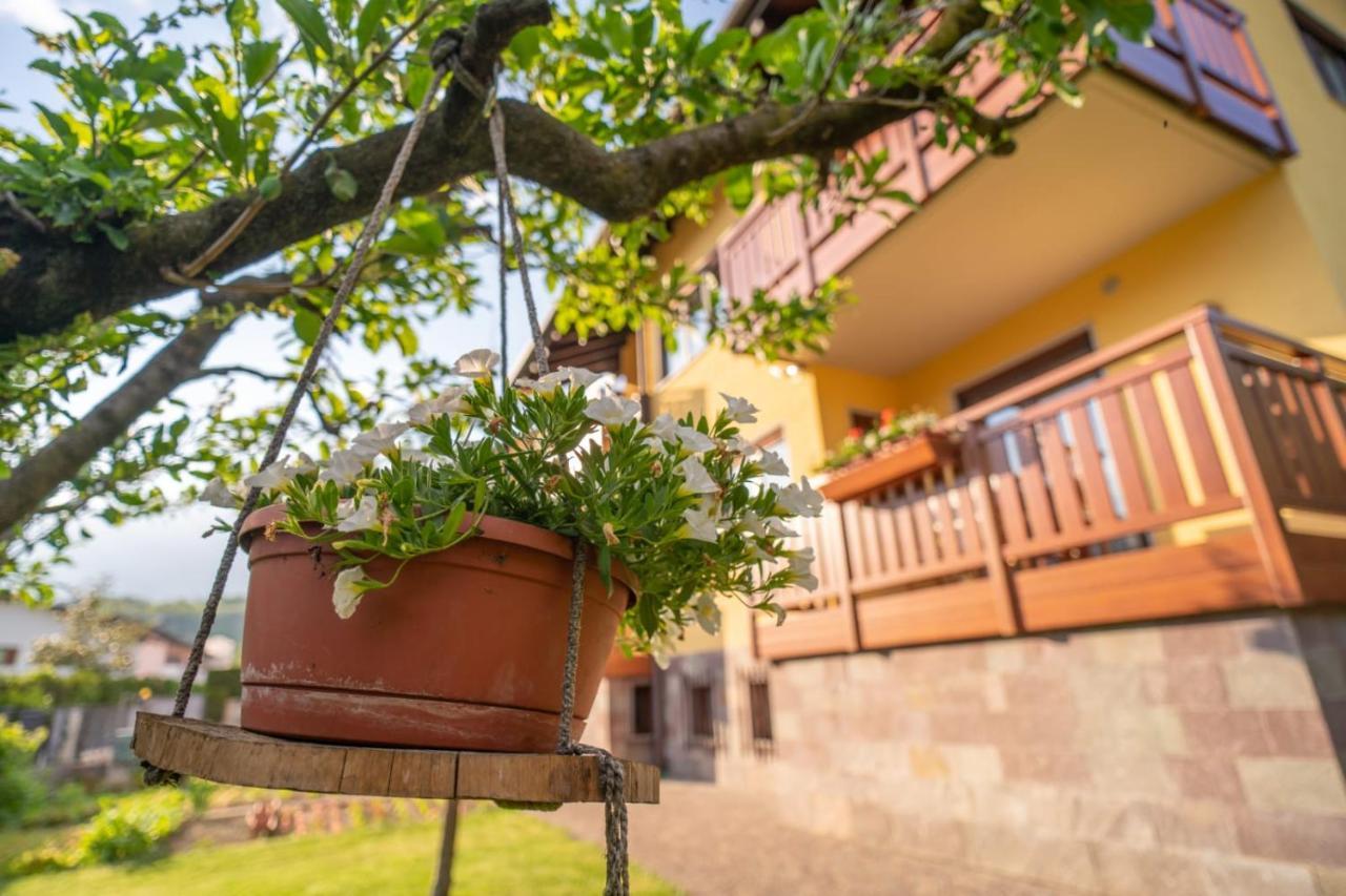 B&B Nonno Carlo Trento Exteriör bild